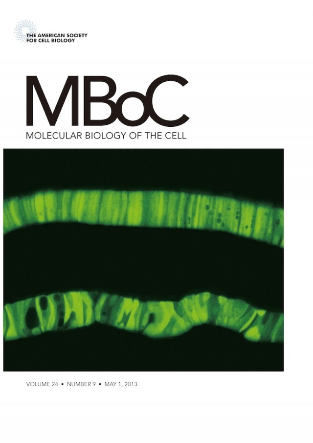 MBoC cover